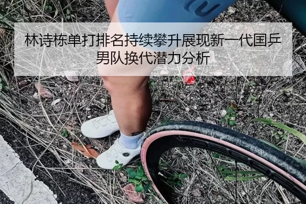 林诗栋单打排名持续攀升展现新一代国乒男队换代潜力分析